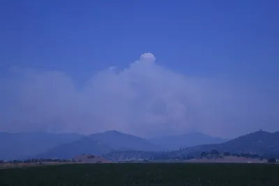 DSC_1858 (Large).JPG